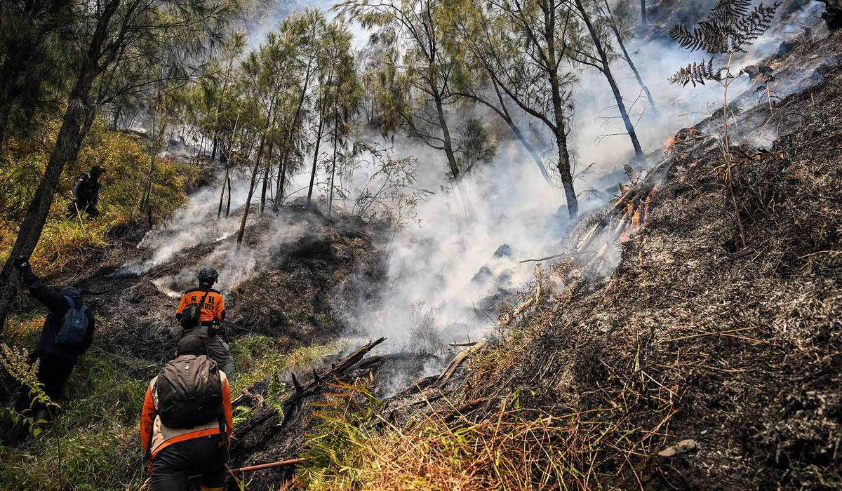 Pemadaman Terus Dilakukan Setelah Karhutla Melanda Gunung Bromo