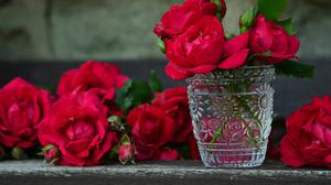 10 Cara Merawat Bunga Fresh Flower agar Tahan Lama, Trik untuk Hadiah Pacar