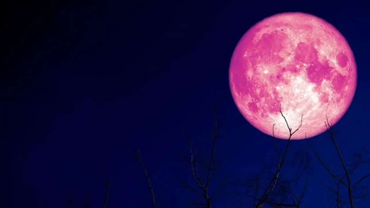 Bakal Muncul di Indonesia Dini Hari Nanti, Ini 4 Fakta Strawberry Moon