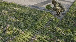 Prajurit Ukraina menata bunga tulip di alun-alun Sophia di Kiev, Ukraina (18/3/2022). Warga Kiev turun ke alun-alun pusat untuk menata sekitar 1,5 juta bunga tulip bentuk lambang negara dalam pertunjukan normal yang menantang saat pasukan Rusia mengepung dan mengebom kota. (AP Photo/Vadim Ghirda)