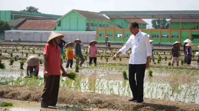 Kementan