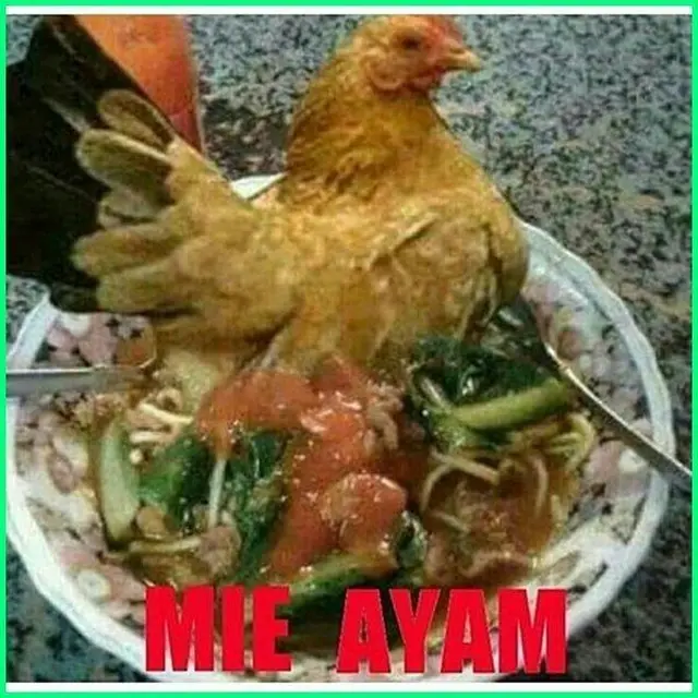 6 Potret Hewan Makan Mi Instan Ini Bikin Geleng Kepala