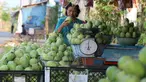 Pedagang menata buah mangga dagangannya yang dijajakan di Jalur Pantura Indramayu, Jawa Barat, Kamis (29/6). Berbagai jenis mangga seperti gedong, arum manis dan golek menjadikan buah ini oleh-oleh khas daerah Indramayu. (Liputan6.com/Helmi Afandi)