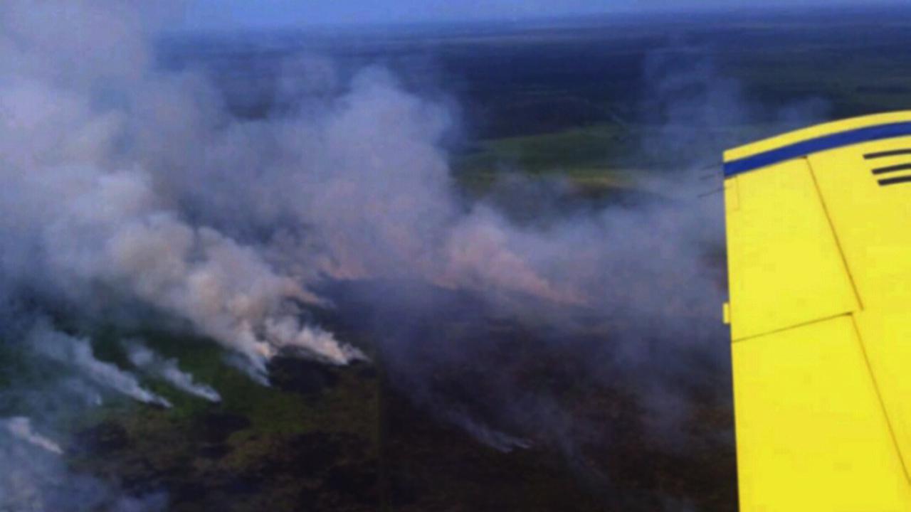 Kebakaran lahan sawit