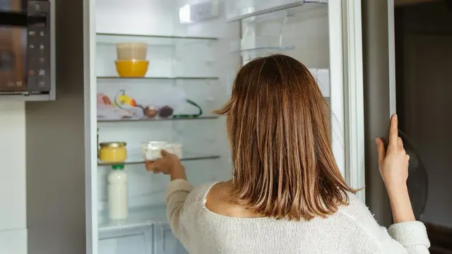 Tips Membersihkan Kulkas agar Bebas dari Bau Tak Sedap dan Jaga Kualitas Makanan yang Disimpan