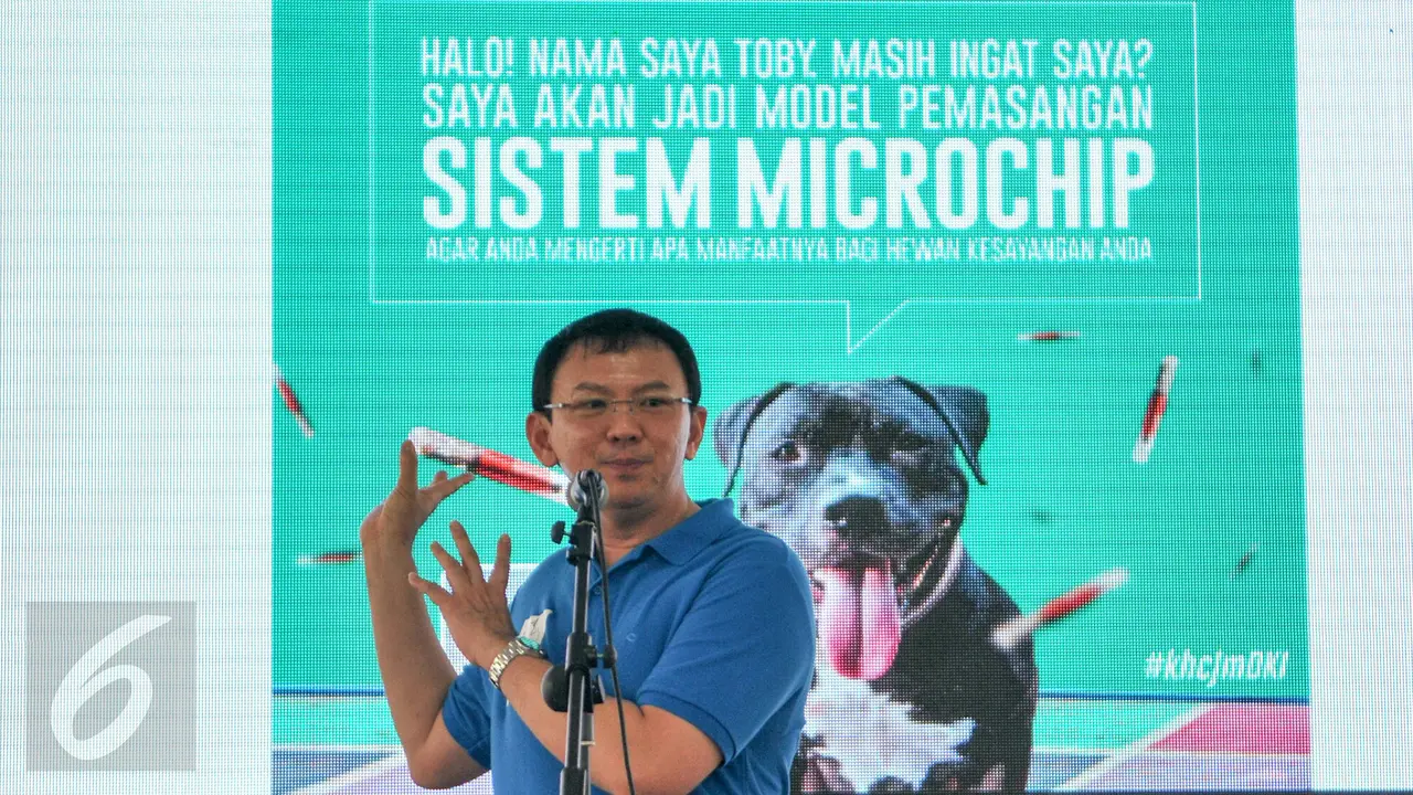 20160207-Ahok Bakal Wajibkan Anjing dan Kucing dipasangi GPS