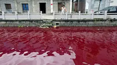Seorang pria melihat sungai yang tercemar di Wenzhou, Zhejiang, Tiongkok pada 24 Juli 2014. Pertumbuhan industri dan kurangnya kesadaran lingkungan membuat saluran air terkontaminas (REUTERS / Stringer)