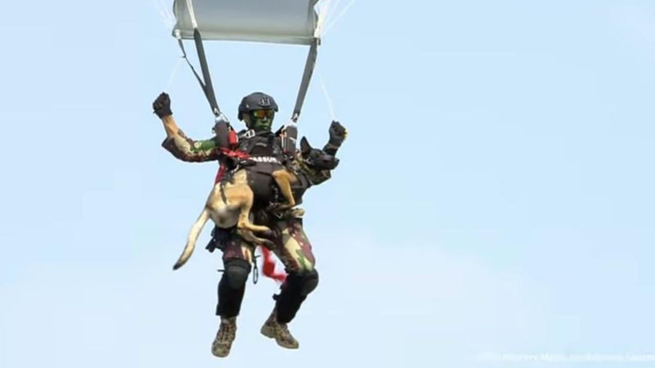 Fakta Unik HUT TNI ke-80: Prajurit Kopassus Terjun Payung Bawa Anjing di Monas, Presiden Prabowo Hormat Balik!