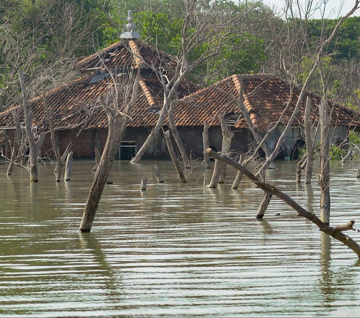 Kondisi rumah-rumah tenggelam karena abrasi di Dusun Rejosari Senik, Demak, Jawa tengah, Minggu (5/5/2024). Perubahan iklim telah membuat Dusun Rejosari Senik, yang dahulu dihuni 225 kepala keluarga (KK), kini ditinggalkan penduduknya dan hanya tersisa sa