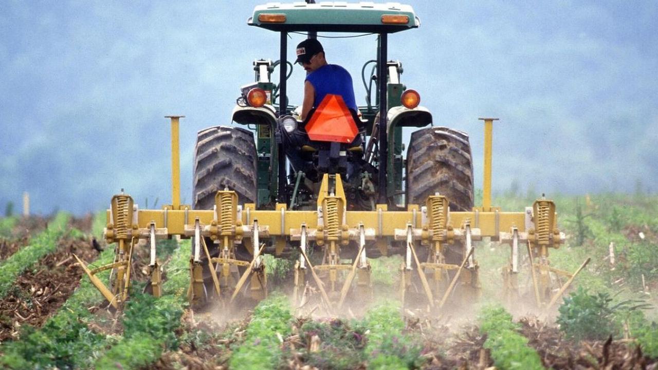 Ini Link, Syarat & Cara Daftar Petani Milenial, Bisa Dapat Gaji Rp10 Juta per Bulan