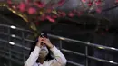 Pengunjung mengambil gambar bunga sakura pada malam hari di Taipei, Taiwan, Senin (27/2/2023). Sepanjang bulan ini, sejumlah wilayah di Taiwan menjadi jauh lebih cantik berkat hiasan warna-warna pastel dari bunga sakura. (AP Photo/Chiang Ying-ying)