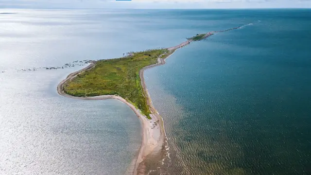 Linnusitamaa di Estonia.