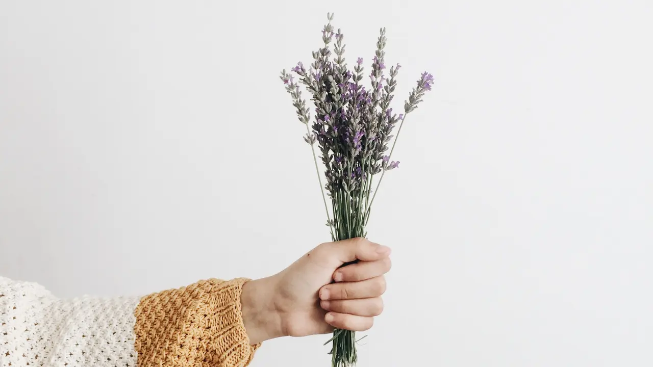 [Fimela] Lavender