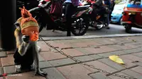 Gaya Ngamen Topeng Monyet Masa Kini: Naik Motor
