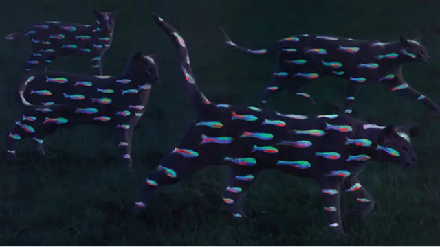 Why Paint Cats