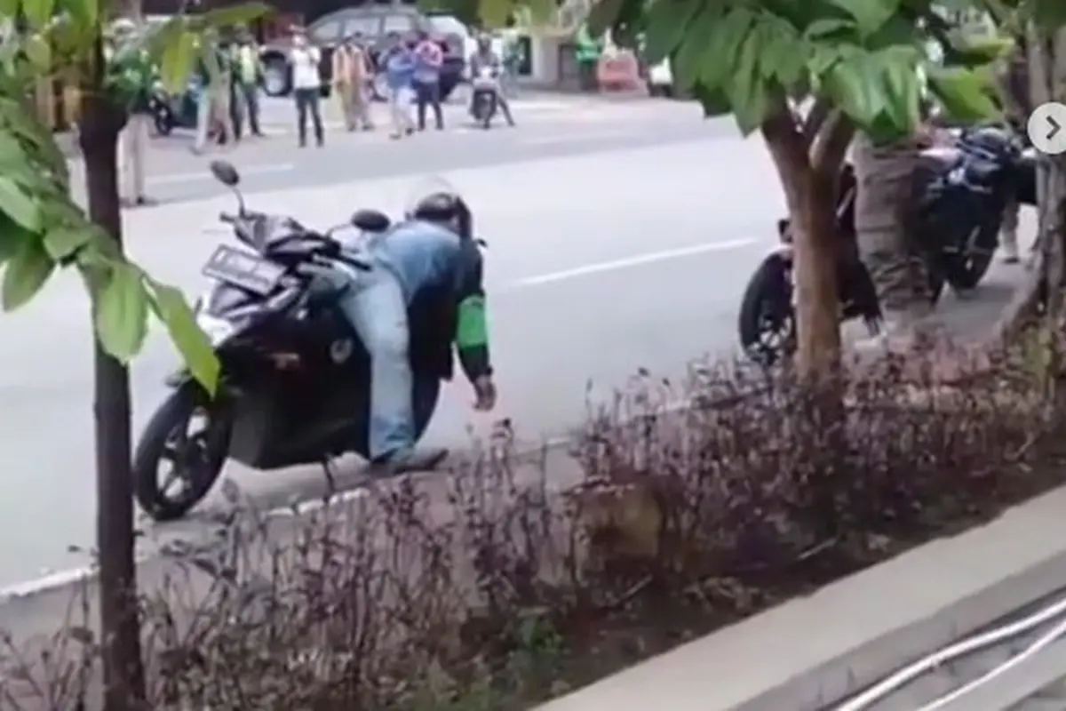 Menghabiskan banyak waktu dengan kendaraannya, tak jarang driver ojol yang terlalu lelah memarkirkan motor dan tertidur pulas di atasnya, seperti video yang dibagikan akun Instagram @jktnewss.