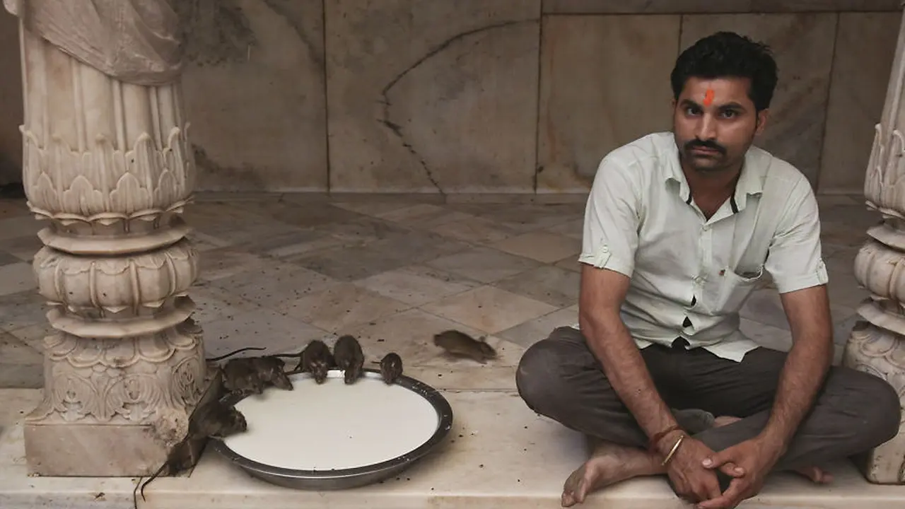 India