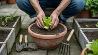Cara Berkebun di Pekarangan Rumah untuk Pemula, Panen Sayur Segar dari Lahan Sempit