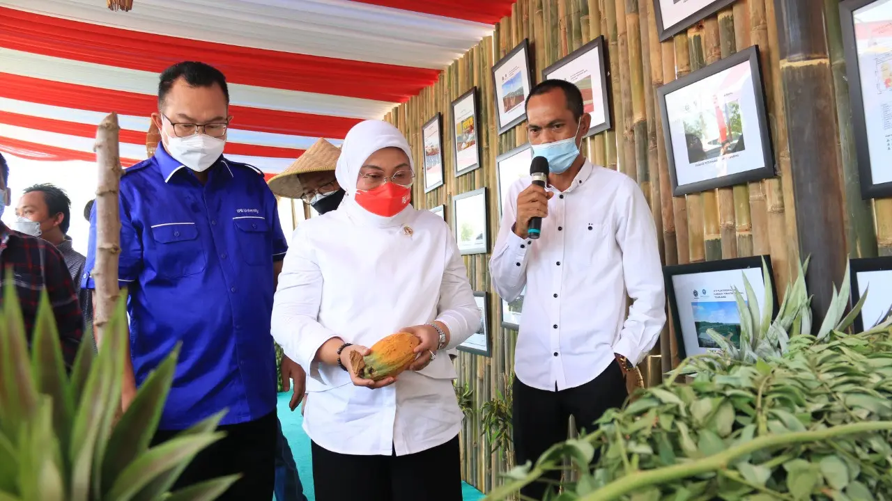 Budidaya indigovera Telukjambe Kerawang jadi solusi pemasukan di masa pandemi. (Istimewa)