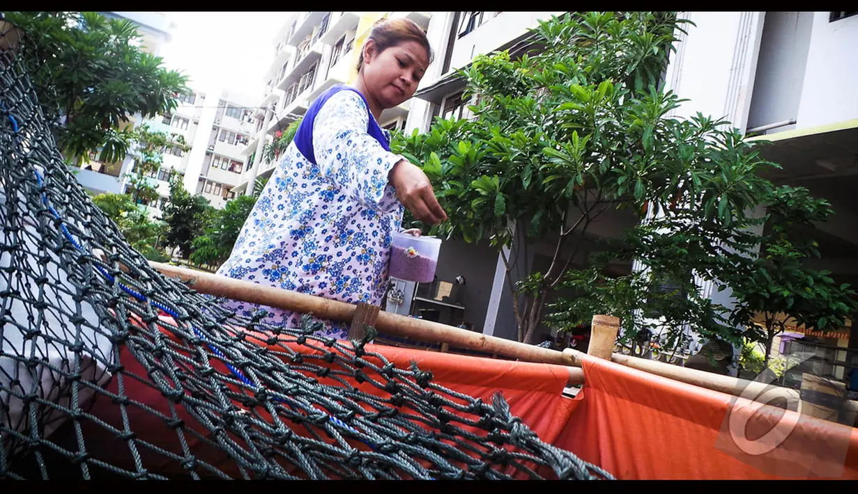 Seorang warga tampak memberikan makan lelenya dengan pakan khusus ikan, Jakarta, Selasa (19/8/2014) (Liputan6.com/Faizal Fanani)