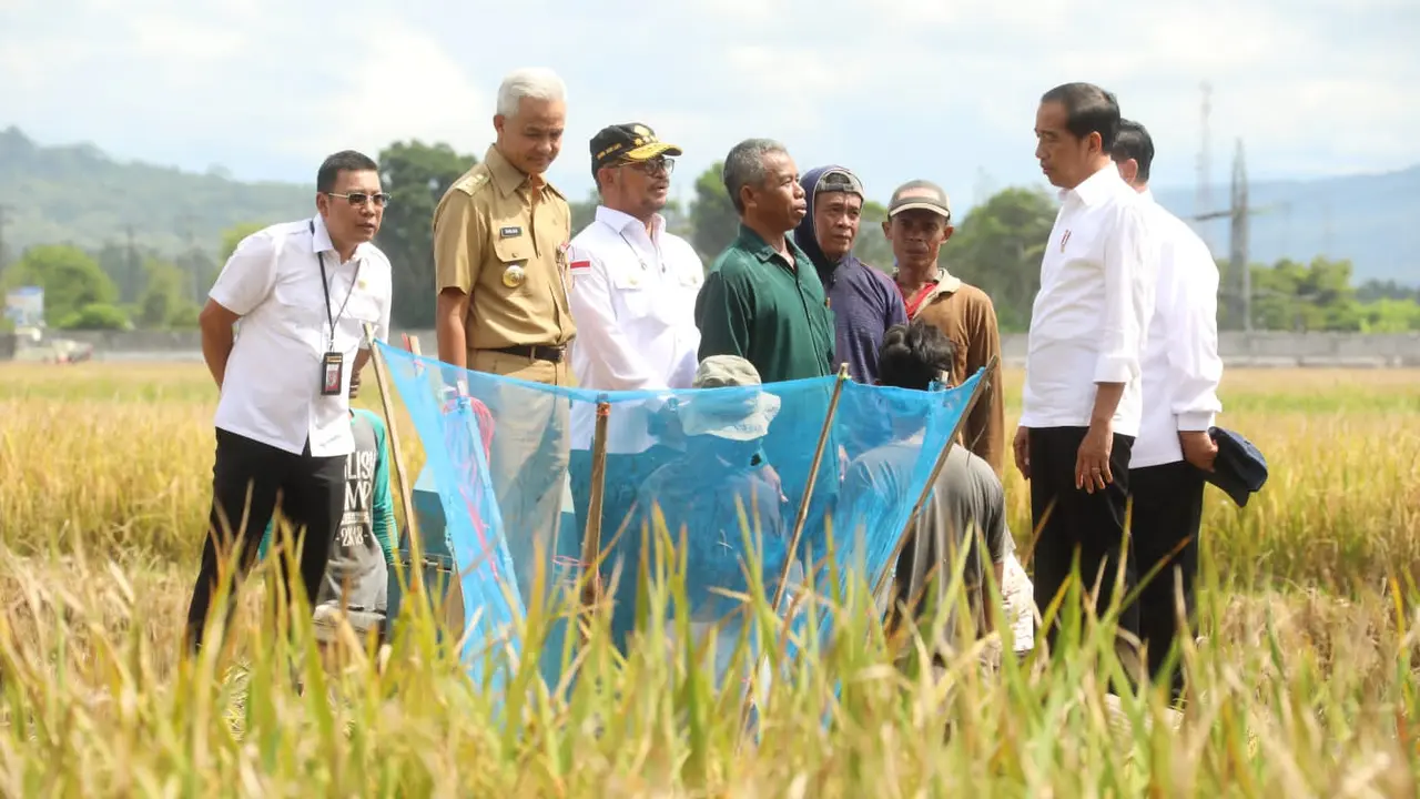 Momen Mentan SYL Panen Raya Bersama Presiden Jokowi