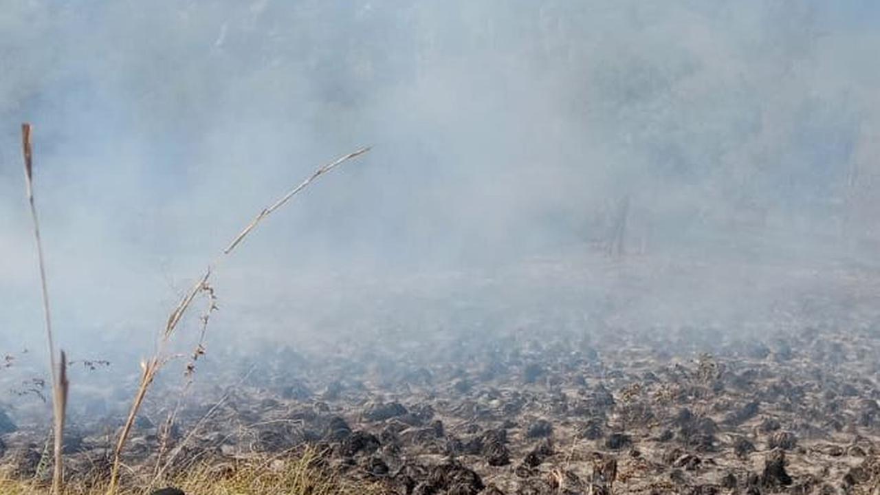Septi menyampaikan, pihaknya menyerahkan penanganan kasus ini ke Polsek Sukapura dan Polres Probolinggo.