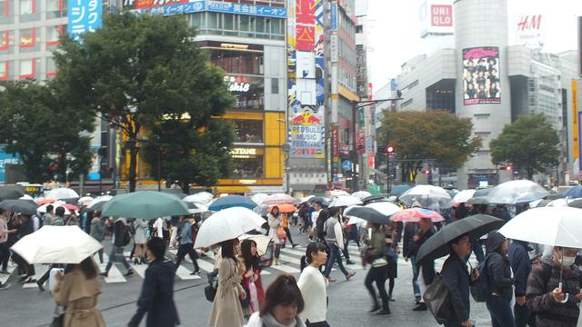 Sensasi Berjalan di Persimpangan Shibuya Crossing