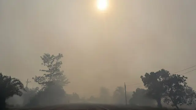 Kabut Asap Karhutla Selimuti Palangka Raya