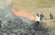 Update Kebakaran Gunung Bromo Gara-Gara 'Flare Prewedding': Api Masih Menyala di Sejumlah Titik