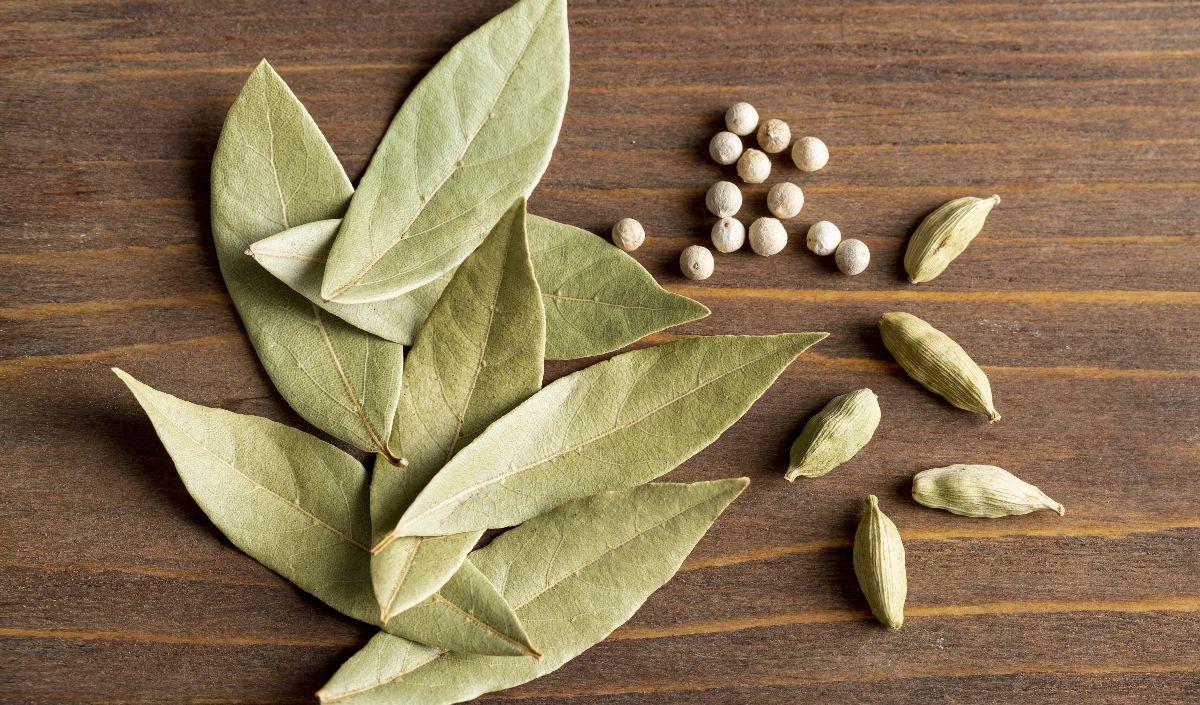 3. Daun Salam