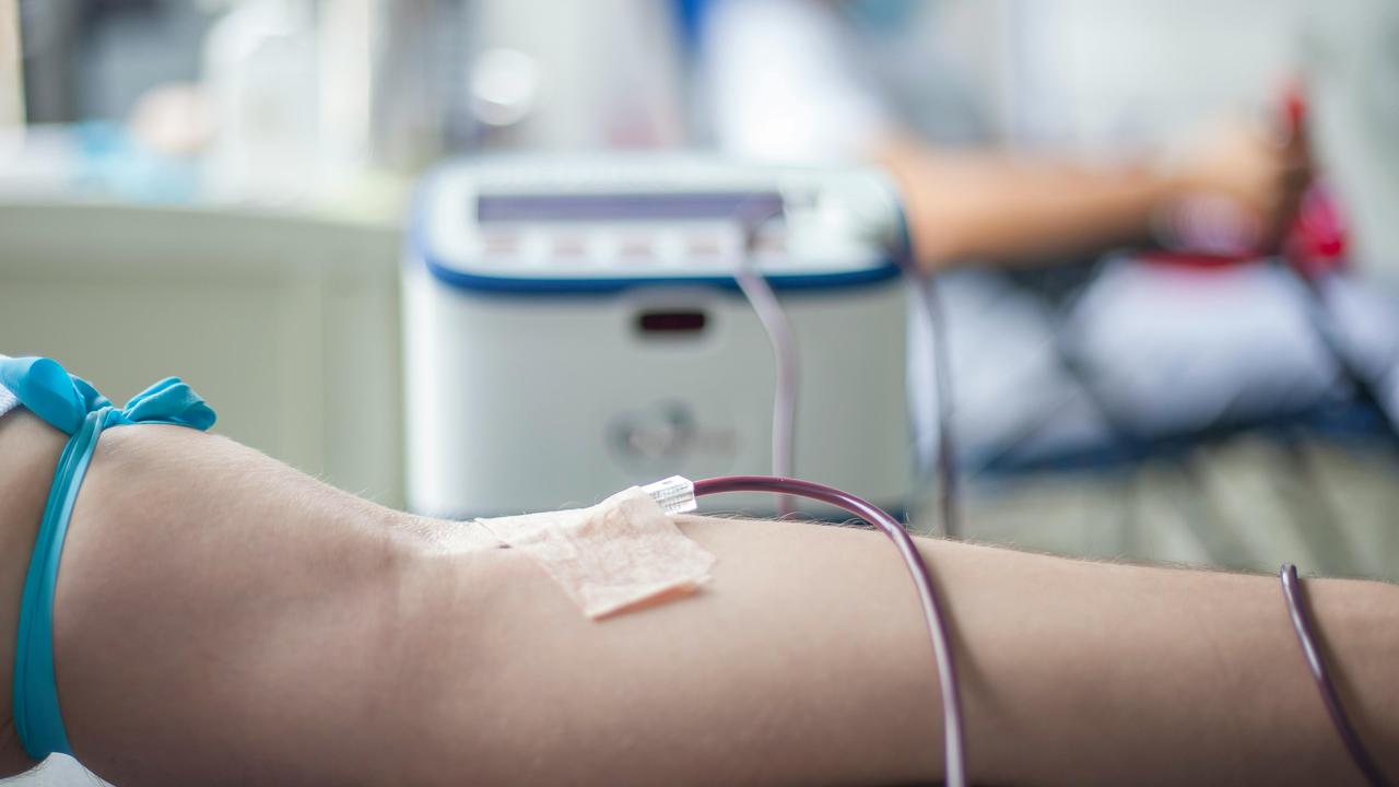 Fakta Menarik tentang Donor Darah, Seberapa Banyak Darah yang Anda Sumbangkan?