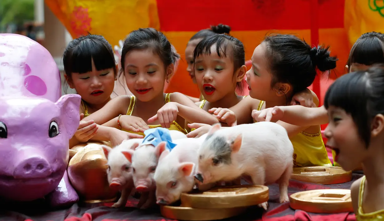 Gadis-gadis Tionghoa Filipina bermain dengan anak babi untuk menyambut Tahun Baru Imlek di Lucky Chinatown Plaza Manila, Filipina, Jumat (1/2). (AP Photo/Bullit Marquez)