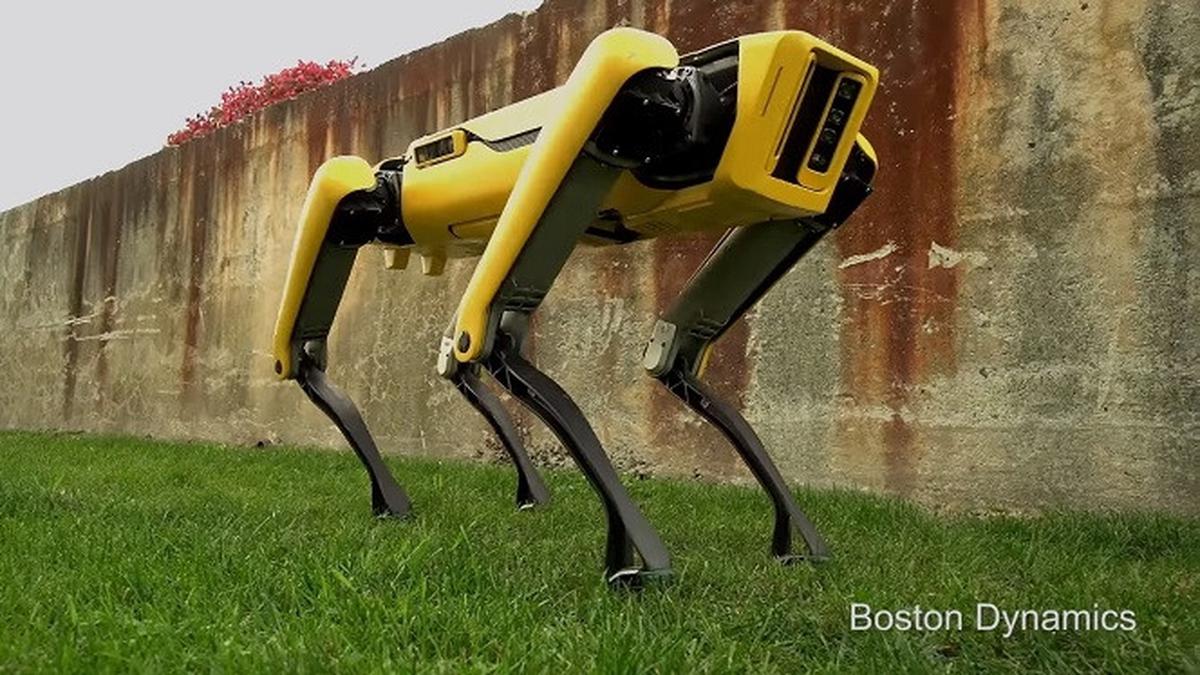 Ada Robot Anjing yang Bisa Buka Pintu, Canggih atau Mengerikan?