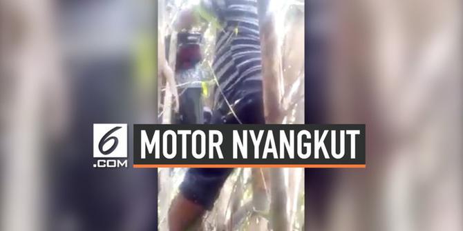 VIDEO: Misteri Motor Tukang Ojek Nyangkut di Pohon Bambu