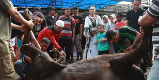 Penyanyi Krisdayanti pada Idul Adha tahun ini, kurban seekor sapi dan kerbau. Diva pop Indonesia itu menyerahkan sapi kurbannya di masjid dekat kediamannya di kawasan Jeruk Purut. (Bambang E. Ros/Bintang.com)