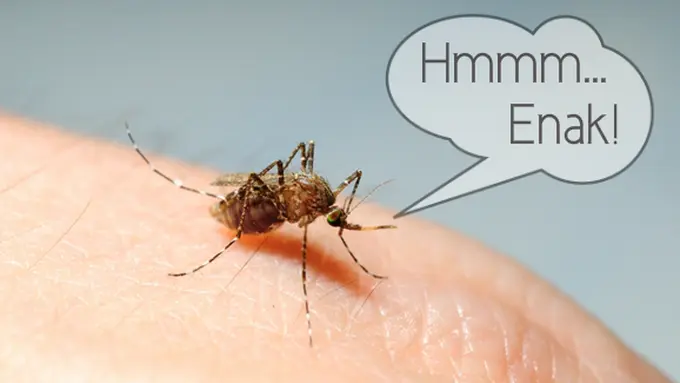 Courtesy ShutterStock.com