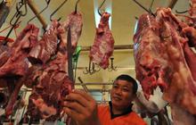 Harga daging sapi masih normal 