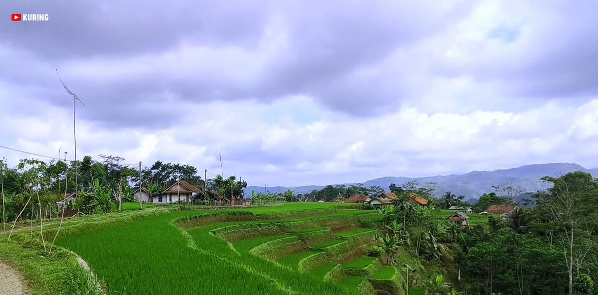 Warung Kopi di Kampung Terpencil Tasikmalaya Ini Suguhkan Pemandangan Sawah Hijau dan Bukit Berkabut