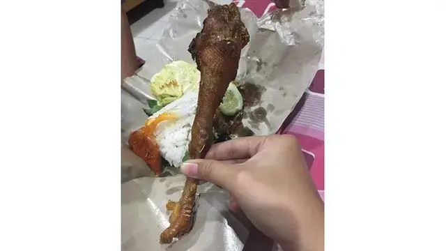 6 Momen Apes Mau Makan Ayam Ini Tak Sesuai Ekspektasi
