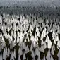 Matahari bersinar di atas bendera putih yang ditanam untuk mengenang warga Amerika yang meninggal karena COVID-19 di dekat Stadion RFK di Washington, Selasa (27/10/2020). Instalasi seni Suzanne Brennan Firstenberg itu disebut "In America, How Could This Happen.” (AP/Patrick Semansky)