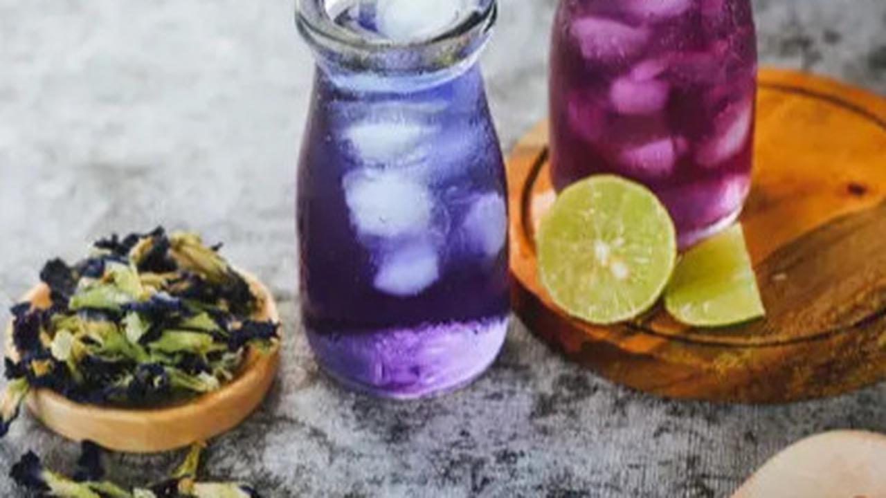 Resep Minuman Bunga Telang untuk Kesehatan yang Mudah Dibuat di Rumah