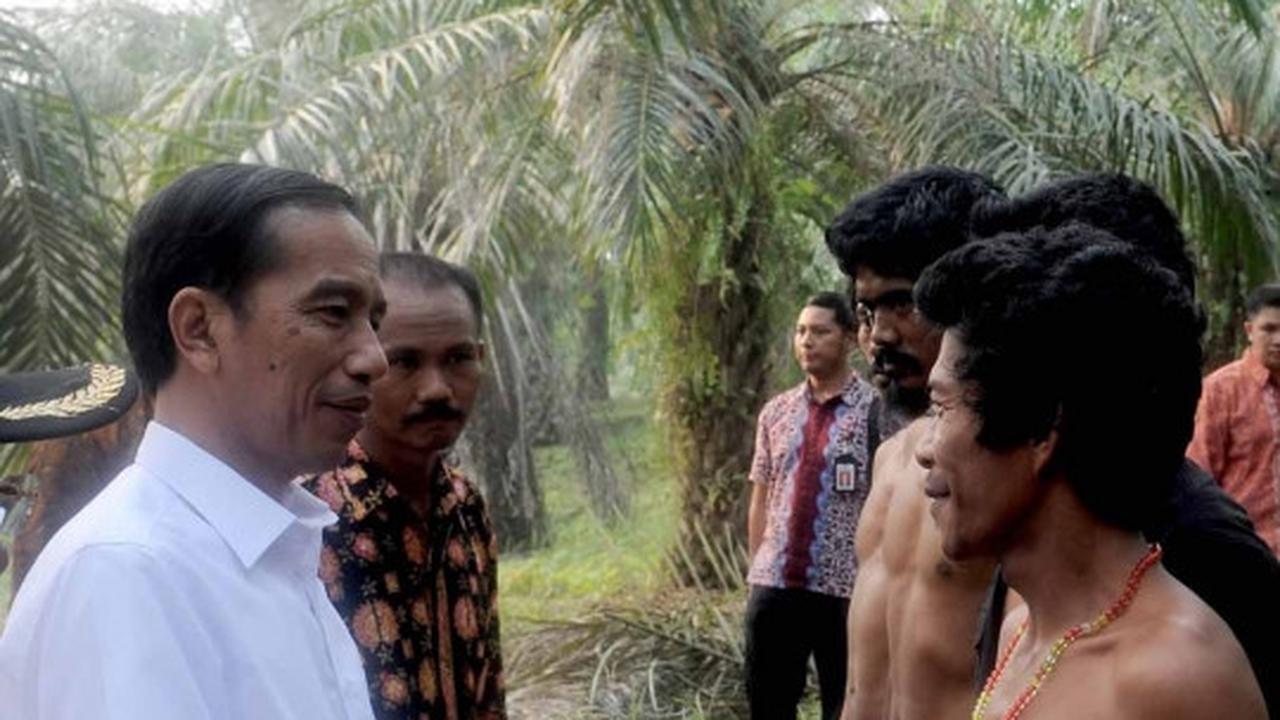Keakraban Jokowi bertemu Suku Anak Dalam di hutan sawit