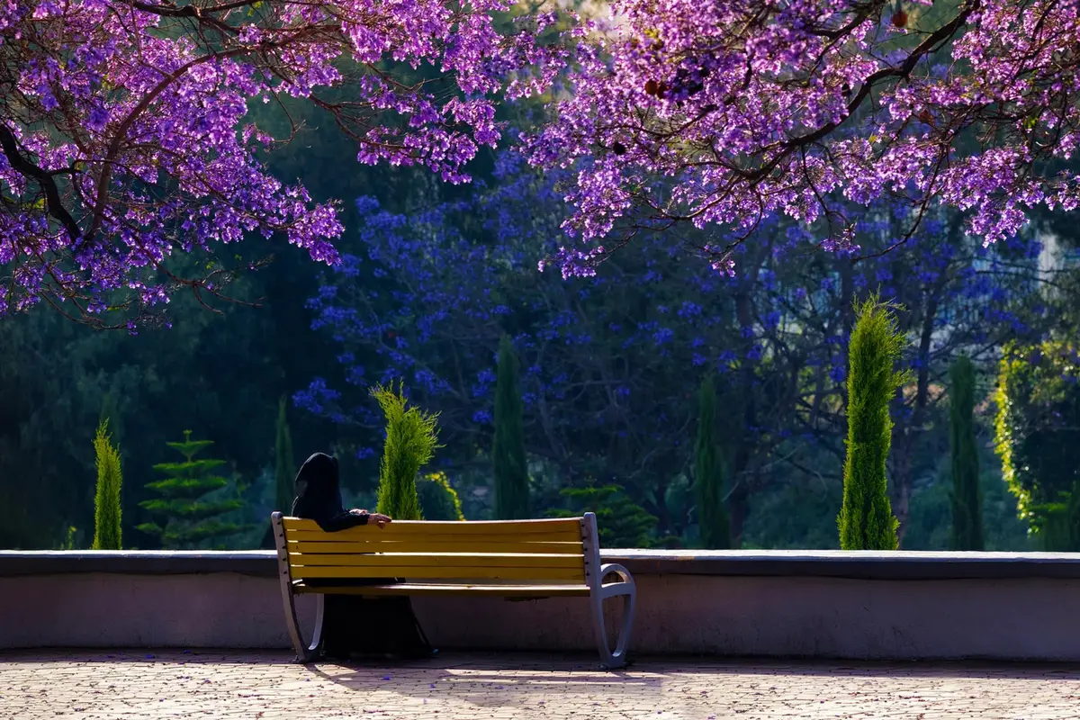 4 Destinasi Wisata Unik di Arab Saudi, Salah Satunya Tawarkan Pengalaman Purple Season