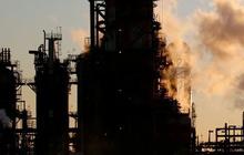 Kerugian Akibat Krisis Iklim Capai Rp544 Triliun, Indonesia Darurat Transisi Energi