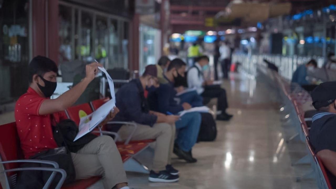 Ternyata Ada Asuransi Pesawat Delay Hingga Bagasi Rusak, Klaim Bisa Secara Online