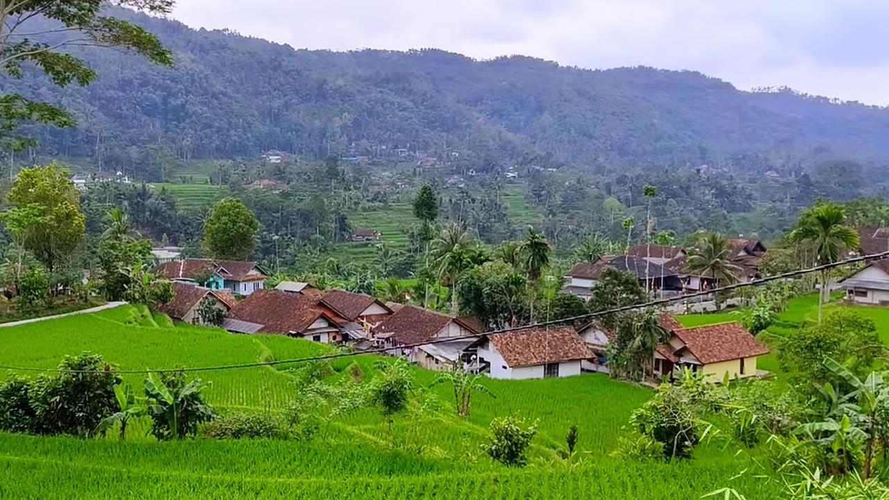 Kampung di Tasikmalaya Ini Bikin Betah, Posisinya di Tengah Sawah yang Dikelilingi Bukit Terasering Hijau