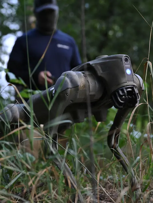 <p>Berguna untuk mendeteksi ranjau atau alat peledak rakitan, robot anjing tersebut juga dapat digunakan untuk membawa hingga 7 kilogram amunisi atau obat-obatan ke titik-titik panas di medan perang. (GENYA SAVILOV / AFP)</p>