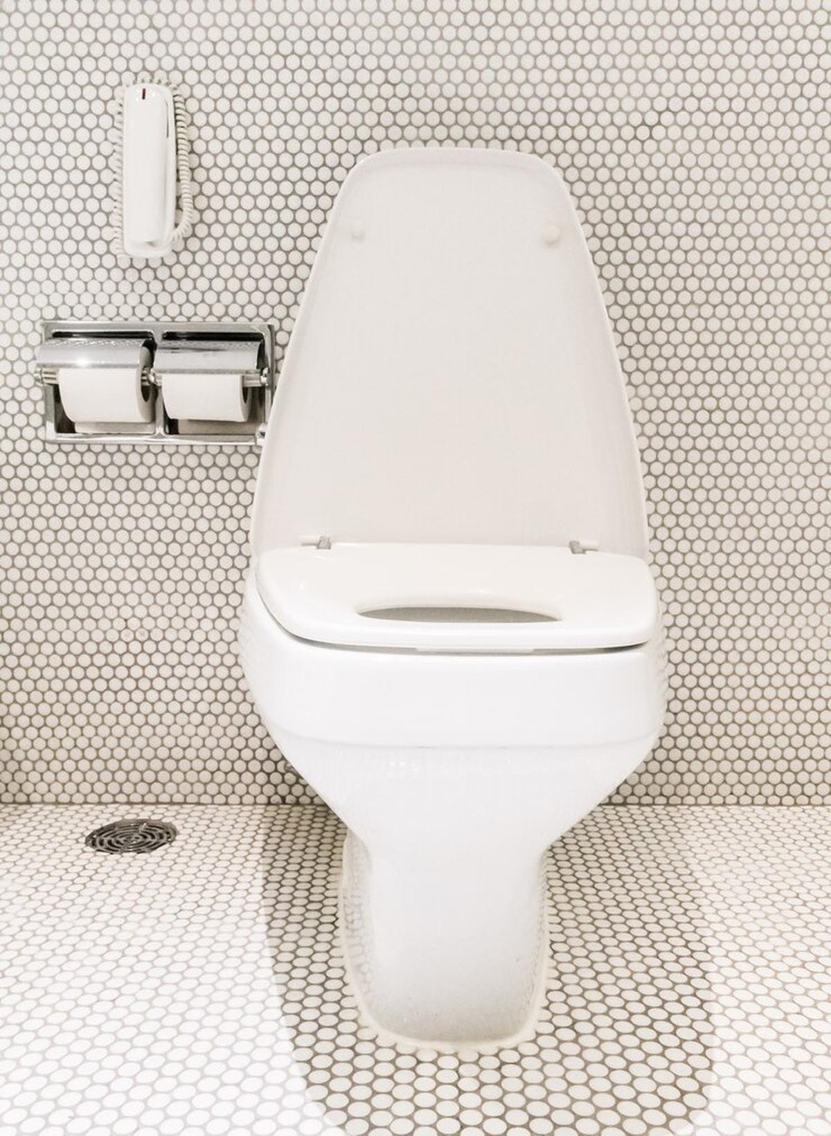 Ilustrasi Toilet
