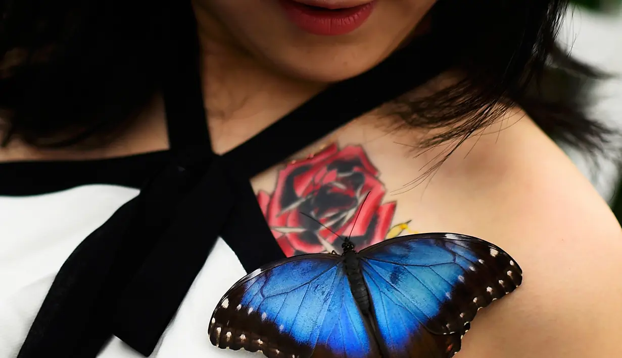 Seorang pengunjung yang merupakan wartawan TV Jepang tersenyum saat mengetahui kupu-kupu hinggap di tato bunga tubuhnya pada pameran Sensasional Butterflies di Museum Sejarah Alam,London, Inggris 23 Maret 2016. (REUTERS / Dylan Martinez)