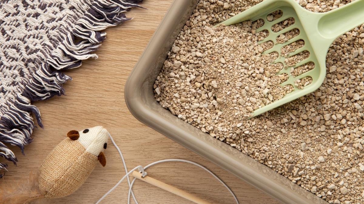 Cat Litter Box